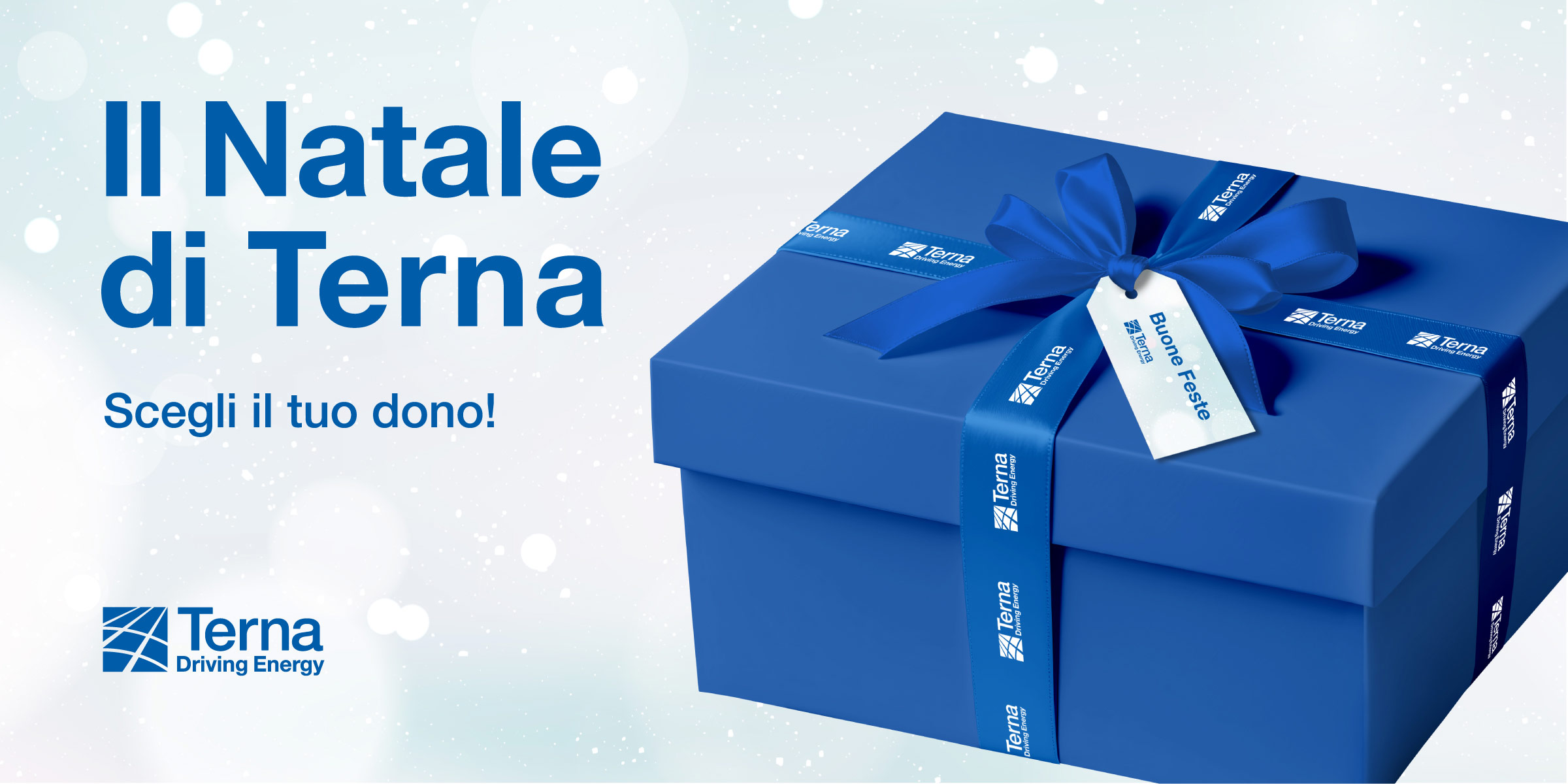 TERNA